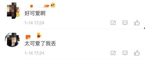 微信聊天回复吃瓜的表情啥意思,揭秘“吃瓜”表情背后的网络文化现象