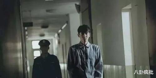 吃瓜娱乐圈疯子,揭秘“吃瓜疯子”背后的疯狂故事